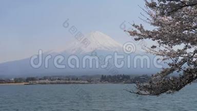 山的<strong>开阔视野</strong>。 有樱花树的富士和川口湖